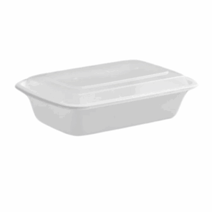 Plasctic rectengular containers